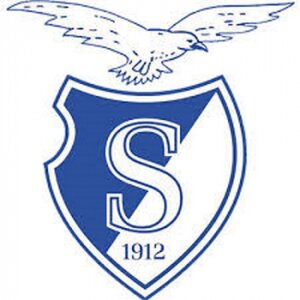 Stormvogels ijvv logo