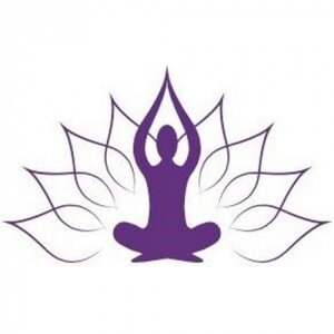 Dru Yoga Heerhugowaard logo