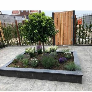 Parmentier Sierbestrating image 4