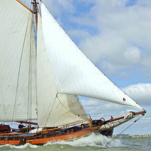 Catharina van Mijdrecht image 5