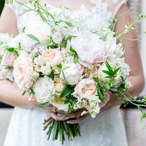 Ivy, Green in Business image 3