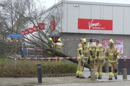 Zondagse storm Ciara houdt Nederland in greep (fotoalbum)