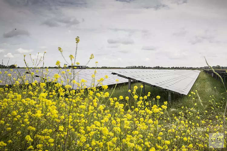 Voordelige zonnepanelen-actie