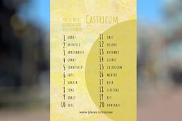 Noord-Hollandse invloeden komen terug in achternamen Castricum