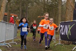 Finale crosscompetitie; een groots sportief spektakel op Camping Bakkum