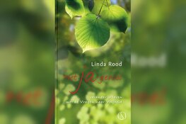 Het Ja gevoel | Verander je leven met de Vragen naar Vrijheid