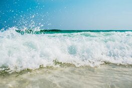 Noord-Hollandse badplaatsen pleiten voor minder druk strand met Hemelvaart