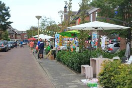De Henri Schuytstraat in Castricum viert Burendag met een rommelmarkt.