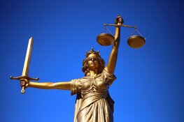 Geweldplegers en relschoppers snel voor de rechter