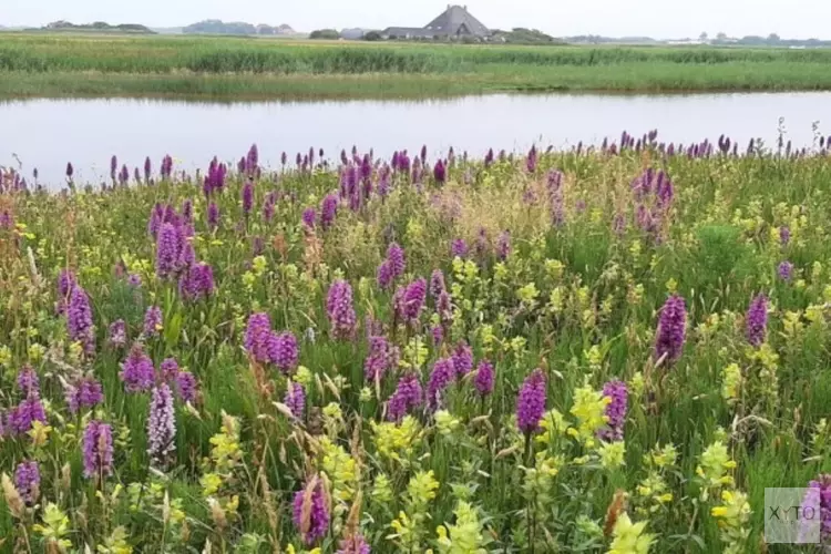 PWN vraagt omgeving om mee te praten over natuurontwikkeling in Zanderij-Noord