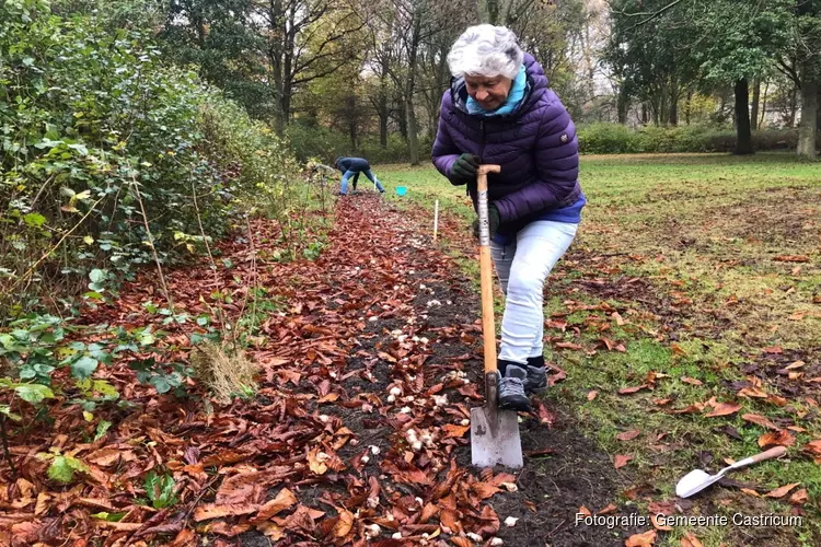 Plantestafette in Castricum