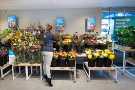 Nieuwe Albert Heijn Akersloot feestelijk geopend