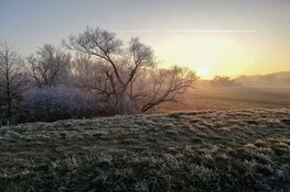 Komende winterweek vooral droog en rustig weer