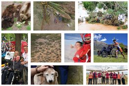 Goede Doelen Special