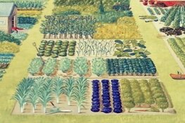 Hoe werkt een Herenboerderij?