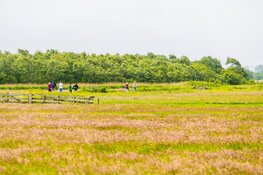 Inschrijving Oer-IJ Expeditie sluit aanstaande donderdag
