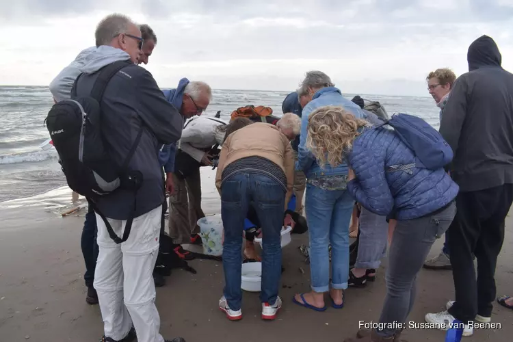 IVN- Vissen met een kor (sleepnet)