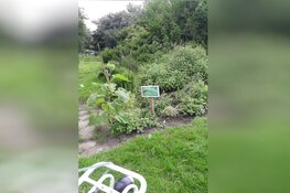 Ruilen: duurzaam en gezellig