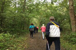 Zomerboost is terug!