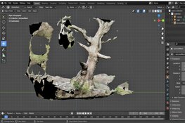 Gaan we oude karakteristieke bomen bewaren in een virtuele wereld?