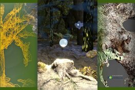 Gaan we oude karakteristieke bomen bewaren in een virtuele wereld?