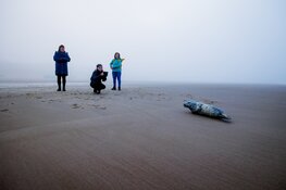 Egmond Wandel Marathon beleeft sfeervolle en frisse 18e editie