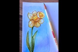 Ontdek aquarelleren in het CreaCafé