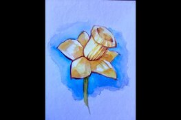 Ontdek aquarelleren in het CreaCafé