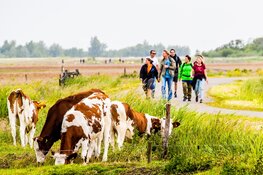 Liefhebbers dit voorjaar eropuit  in Castricum