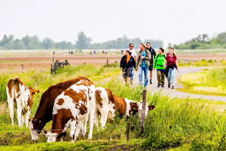 Liefhebbers dit voorjaar eropuit  in Castricum