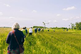 Wandeling met boswachter naar de oernatuur van het Limmerdie