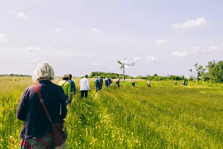 Wandeling met boswachter naar de oernatuur van het Limmerdie