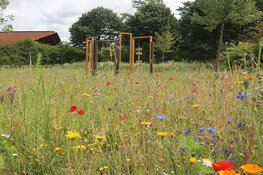 Uniek asverstrooiings-bloemenveld met herdenkingscarrousel op begraafplaats Onderlangs