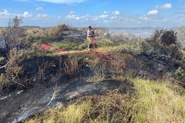 Brandweer met man en macht paraat bij flinke natuurbrand in Heemskerk