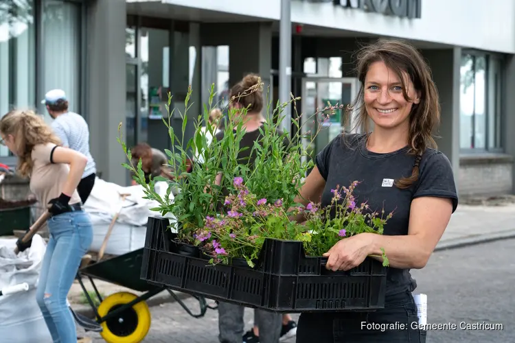 Groen in de Buurt start weer