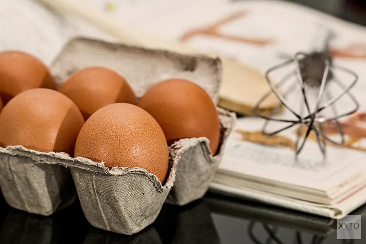 Vitaal en krachtig: de weg naar een sterk lichaam