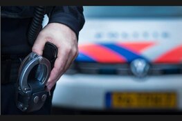 Politie verricht nieuwe aanhoudingen na mishandeling station Castricum