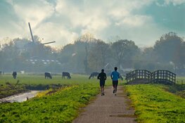Januari eindigt bewolkt en zacht
