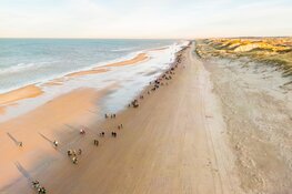 Zonnig winterweer laat deelnemers 19e editie Egmond Wandel Marathon stralen