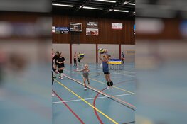 Gratis vakantieactiviteiten Castricum en Heemskerk