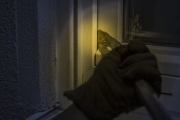 Vorig jaar 10,4% meer schuurinbraken in Noord-Holland
