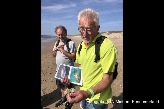 Ga mee op ontdekkingstocht op het strand van Castricum