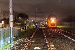 Auto door trein aangereden bij Limmen, inzittenden komen met schrik vrij