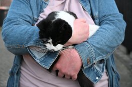 Schoorsteenbrand in Limmen snel onder controle