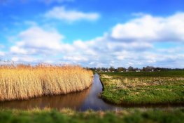 Provincies pleiten bij Rijk voor snellere aanpak luchtkwaliteit