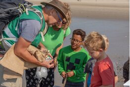Ga mee op ontdekkingstocht op het strand van Castricum