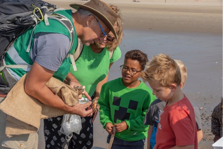 Ga mee op ontdekkingstocht op het strand van Castricum
