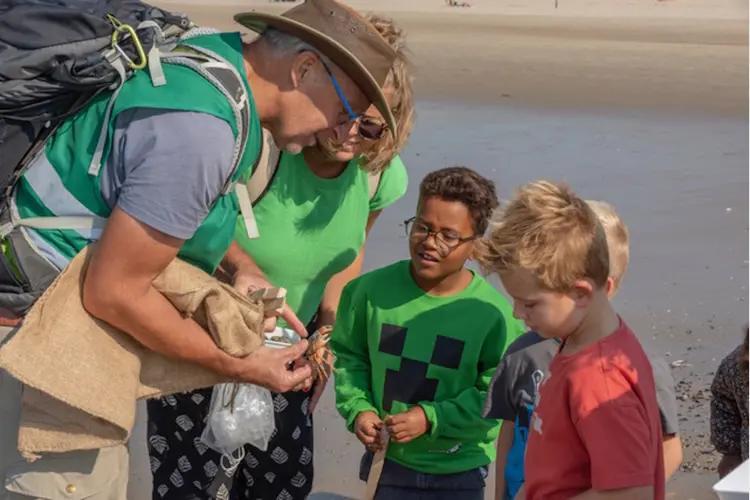 Ga mee op ontdekkingstocht op het strand van Castricum