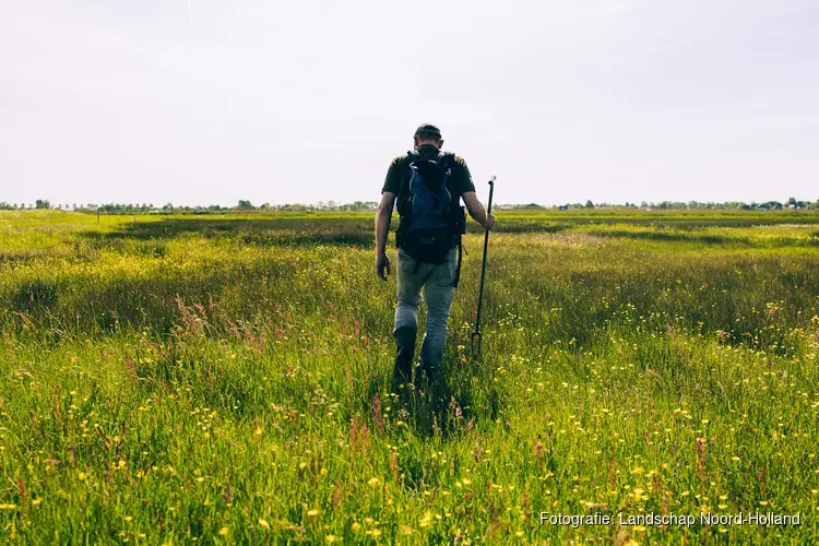 Limmerdie: Oernatuur langs de snelweg