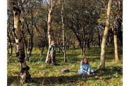 Lichtvoetig door het bos op 26 juni Kijk, ruik, luister en voel de duinnatuur